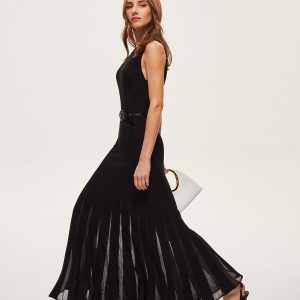 Semi-Sheer Mesh Flared Dress Without Belt