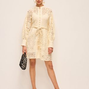 Semi-Sheer Lace Belted Dress