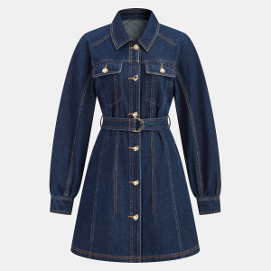 Belted Denim Shirt Dress