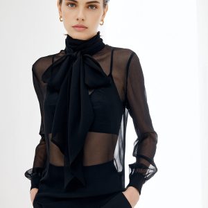 Sheer Bow Chiffon Blouse