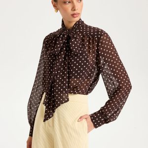 Semi-Sheer Polka Dot Chiffon Bow Blouse