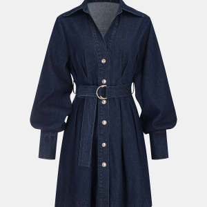 Belted Button-Front Denim Shirt Dress